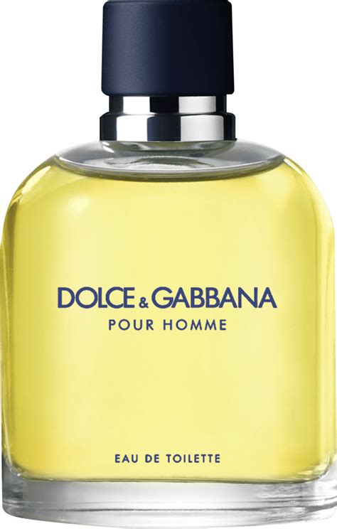 dolce gabbana soldes homme